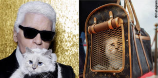 Karl Lagerfeld con la sua gatta Choupette