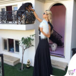 Paris Hilton casa cani