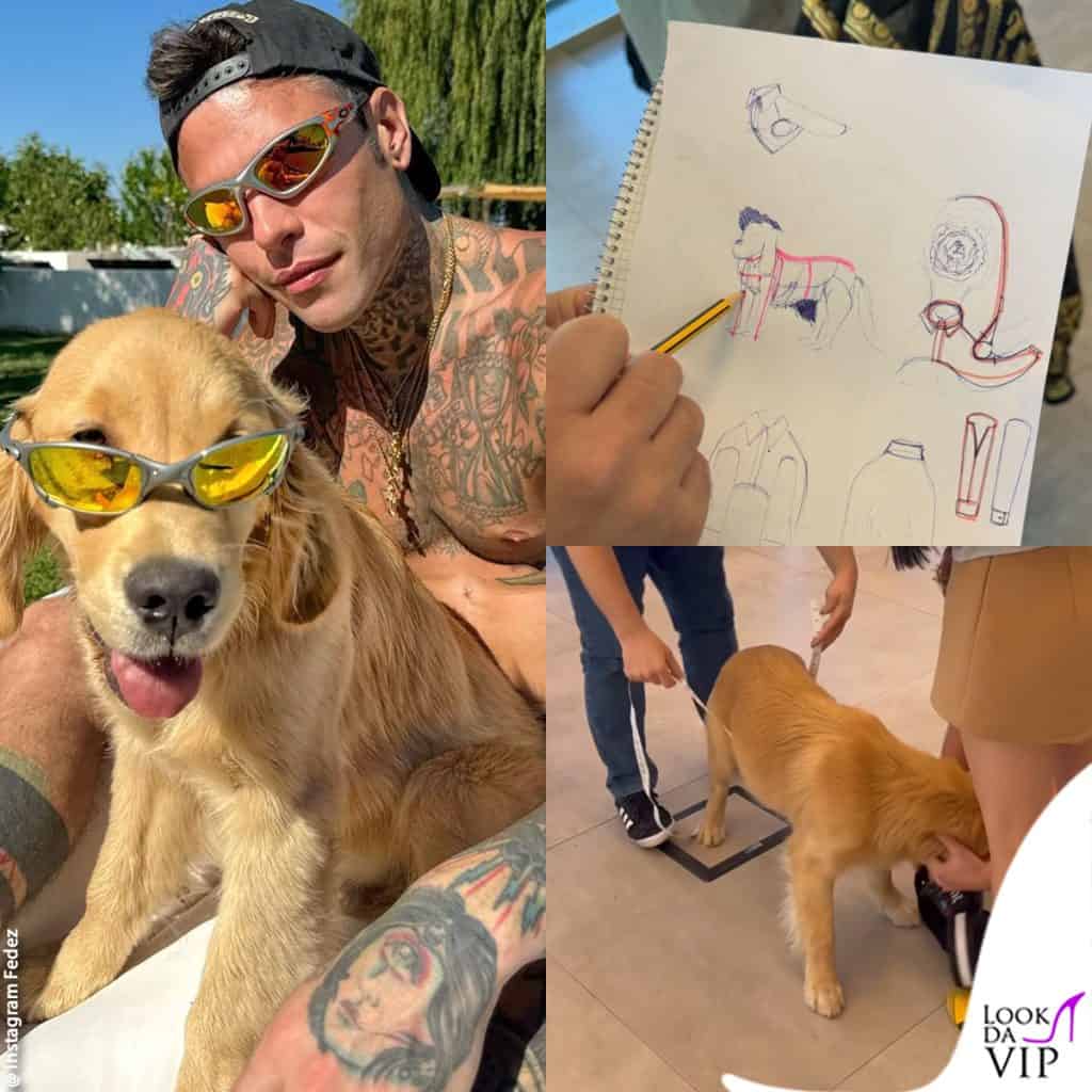 Silvio, il cane di Fedez, fa il fitting per la sfilata Versace